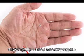 手掌指纹总论