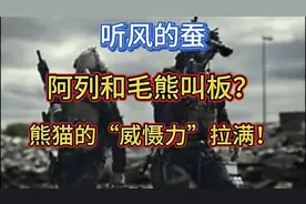 揭秘熊猫：憨态只是表象，实力才是底气