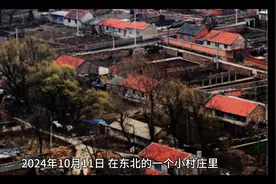 东北小村庄流传着神秘五大仙家传说，下面讲述其中黄家（黄皮子）视频封面