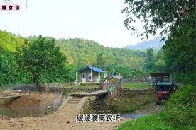 梦婷和嫂子合作干一笔大生意，收购一车土鸡，两人赚了不少钱