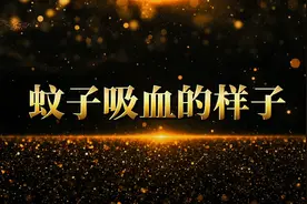 蚊子咬人前会先给你打麻药#昆虫世界#奇妙世界#蚊子#科普知识