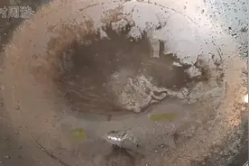 陈醋鸡爪，做法简单，脆爽开胃，追剧首选