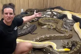 满屋子都是蛇，看着都吓人，养蛇的人怎么不害怕呢？视频封面