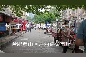 合肥蜀山区岳西路菜市场接地气小吃视频封面