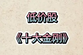 《十大低价股揭秘》