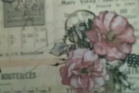 奶油泡芙向你发起cp申请     ⭕同意   ❌拒绝   害羞不想露脸