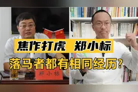 河南打虎！焦作孟州市政协主席郑小标被查！落马者都有相同经历？视频封面