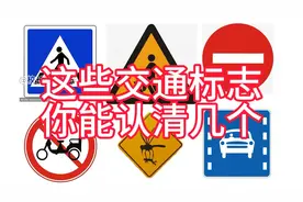 这些交通标志你能认清一半就算及格了！看看你能认清几个？视频封面