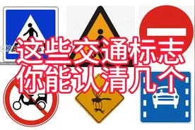 这些交通标志你能认清一半就算及格了！看看你能认清几个？视频封面