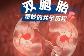 双胞胎是怎么形成的，奇妙的胎儿发育过程视频封面