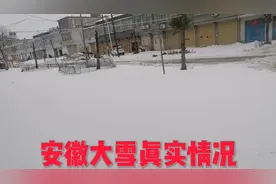 2024年安徽大雪真实情况，30年了第一次见到这样的情况！看看吧！