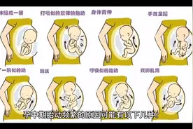 孕中期胎动频繁是什么原因呢🤔视频封面