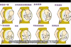 孕中期胎动频繁是什么原因呢🤔视频封面