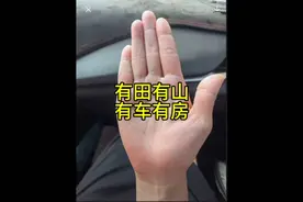 y有房有车的手相