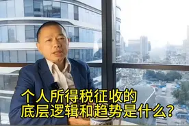 个人所得税征收#个人所得税#底层逻辑#趋势#基尼系数#财富占比视频封面