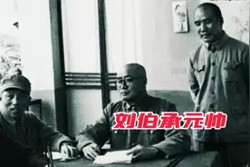 批判教条主义，是因为彭总对刘帅和萧克有意见吗？这种看法太狭隘视频封面