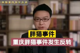 最新！重庆21岁“胖猫”跳江事件最新进展，女主谭竹称已退钱和解视频封面