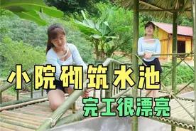 燕子建造水池全过程，又是忙碌一天，好厉害#我的乡村生活视频封面