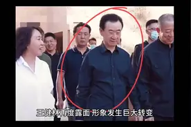 王健林的商业帝国兴衰史从辉煌到风雨深入剖析王健林如何视频封面