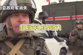 叙利亚政府军消失