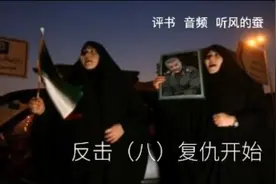 评书  音频  听风的蚕  反击（八）复仇开始