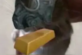 地铁逃生小猫表情包。