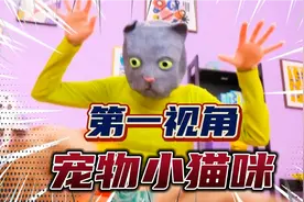 如果你捡到一只可爱的小猫咪？第一视角带你改造小猫咪房间！视频封面