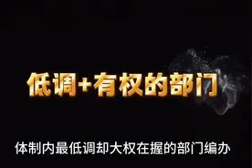 体制内最低调却大权在握的规则制定者视频封面