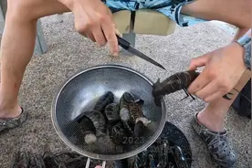 澳洲小龙虾泛滥成灾，湖里捞，湖边做，人间美味视频封面