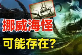 深海海怪（上）地球深海处真实存在的生物, 挪威水下的海怪迷题！