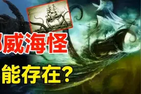 深海海怪（上）地球深海处真实存在的生物, 挪威水下的海怪迷题！视频封面