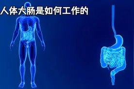 人体大肠的结构 #科普 #科普一下 #科普知识视频封面