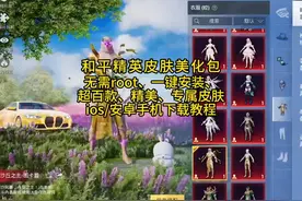 /i5pr2688/无需多言，我会出手 和平精英美化包最新版教程来了#美
