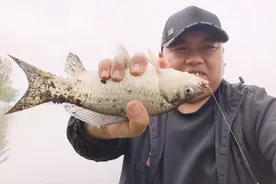垂钓离底鱼方法找到了！简单实用钓鱼快，不愧是老祖宗留下的东西视频封面