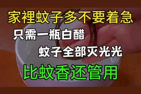 只需一瓶白醋，家中蚊子全灭光，比蚊香更有效！🌿🌿🌿