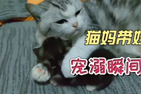 萌娃小宝贝被妈妈搂着狂亲，画面太温馨啦！视频封面