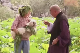 《大宅门》#香秀成了大宅门的抱狗丫头，#好剧推荐视频封面