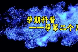 孕期科普 孕第2个月注意事项视频封面