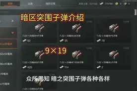 暗区突围子弹介绍