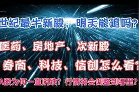 行情将会调整到哪里？世纪最牛新股，盘中暴涨3700%,后续怎么看？视频封面