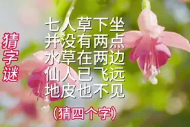 猜字谜来喽！七人草下坐，并没有两点，水草在两边，仙人已飞远…