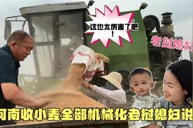 河南收小麦全部机械化，老挝媳妇看到惊叹说；这也太厉害了吧！视频封面