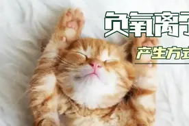 您呼吸了真的负氧离子吗？负氧离子有哪些产生方式？视频封面