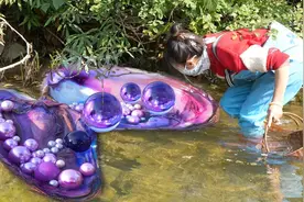 女人河中拾巨型河蚌，内含璀璨珍珠，却被质疑为假。视频封面