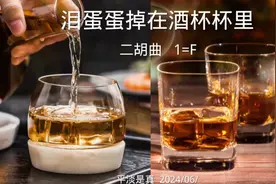 泪蛋蛋掉在酒杯杯里  动态伴奏曲谱 二胡曲 人人都是演奏家视频封面