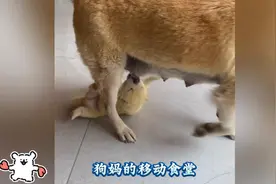 网友：小小年纪不学好，染黄毛，送我这里看看怎么个事