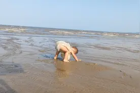 其实我是一只小螃蟹视频封面
