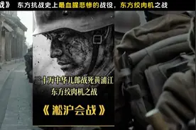 一口气看完淞沪会战，抗日最惨烈一战，三十万热血儿郎血洒黄浦江视频封面