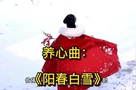 养心曲：《阳春白雪》视频封面