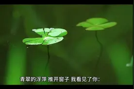 推开窗子看见你视频封面